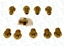 Imagen de KIT NYECTORES 5 LITROS BUTANO M5,L5,CL5,M5BP